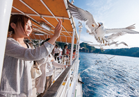 みやこ浄土ヶ浜浜遊覧船