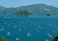 山田湾とオランダ島